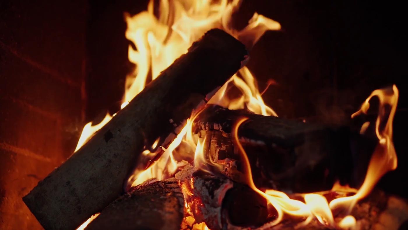 logs